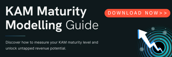 Key Account Management Maturity Model Template Guide banner